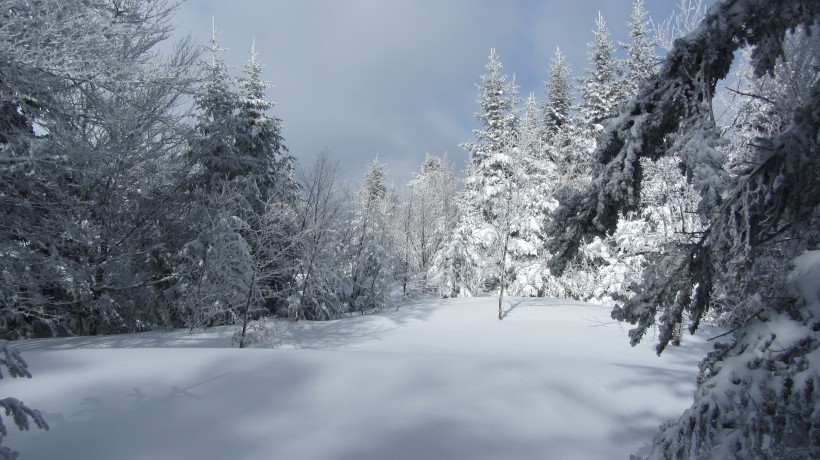 冬季的皑皑白雪